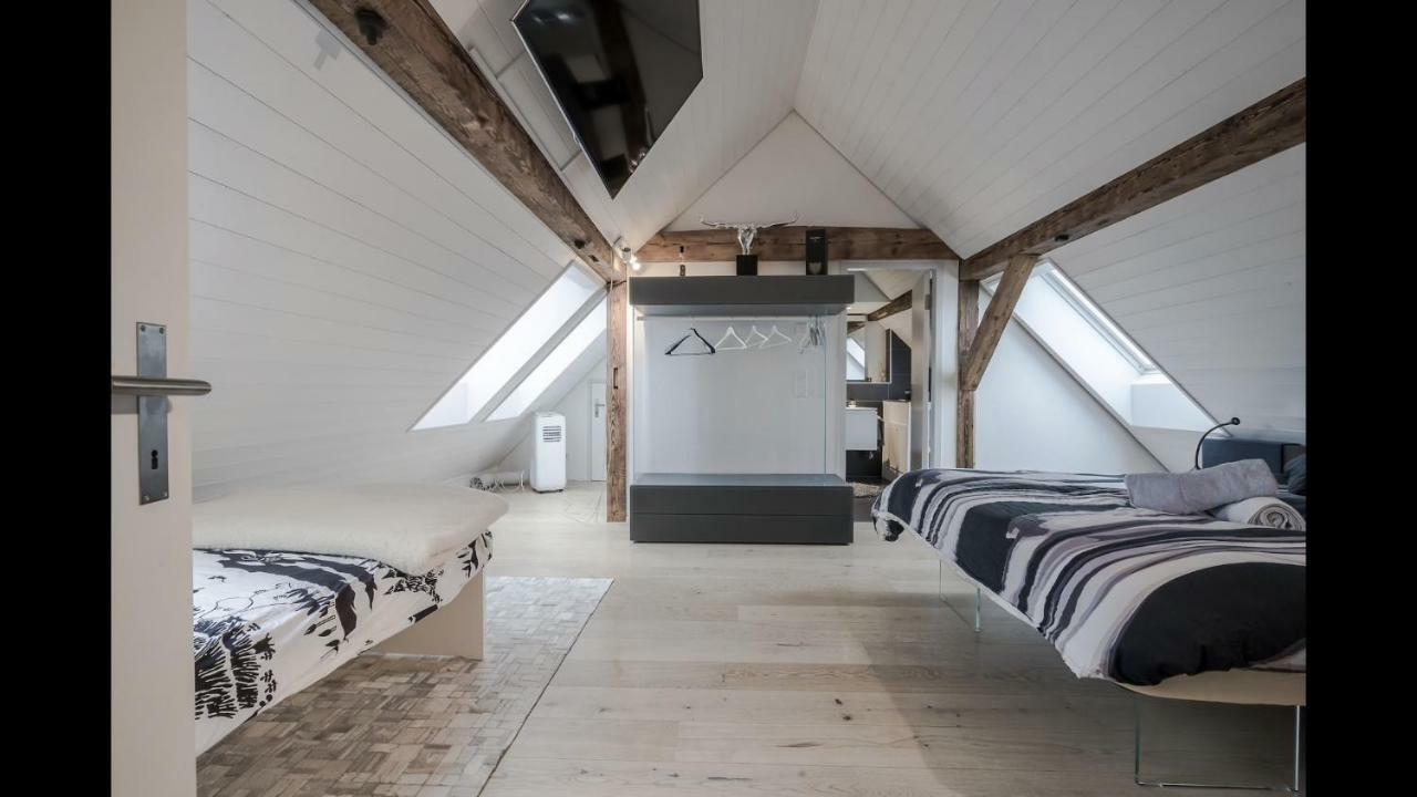 Luxury Penthouse Apartment Zurich Extérieur photo
