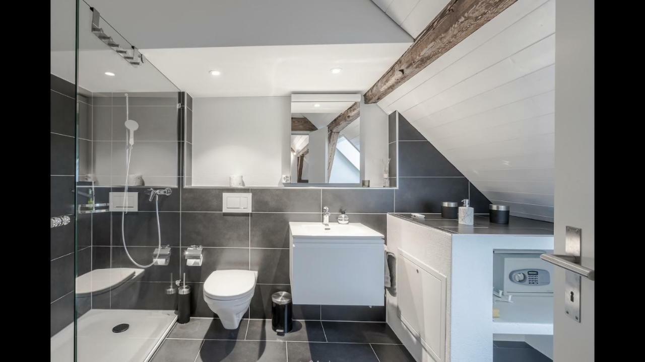 Luxury Penthouse Apartment Zurich Extérieur photo