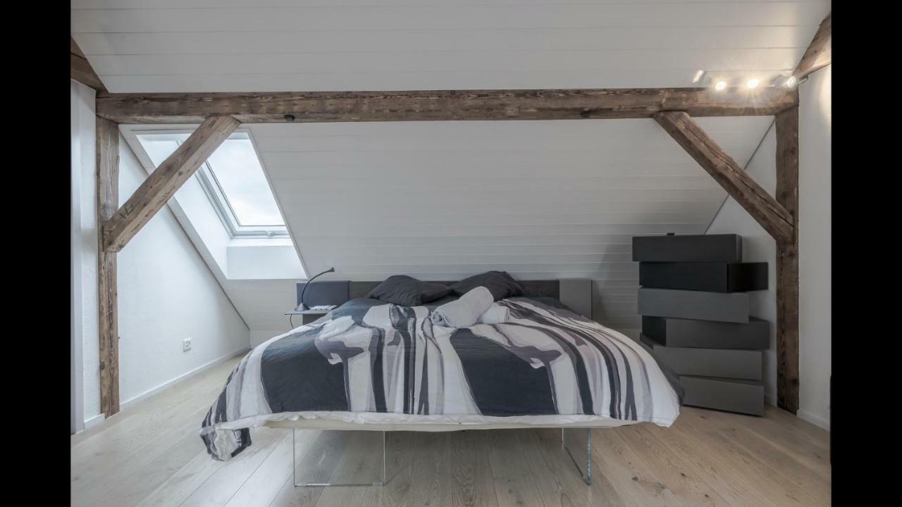 Luxury Penthouse Apartment Zurich Extérieur photo