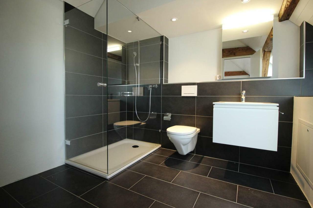 Luxury Penthouse Apartment Zurich Extérieur photo